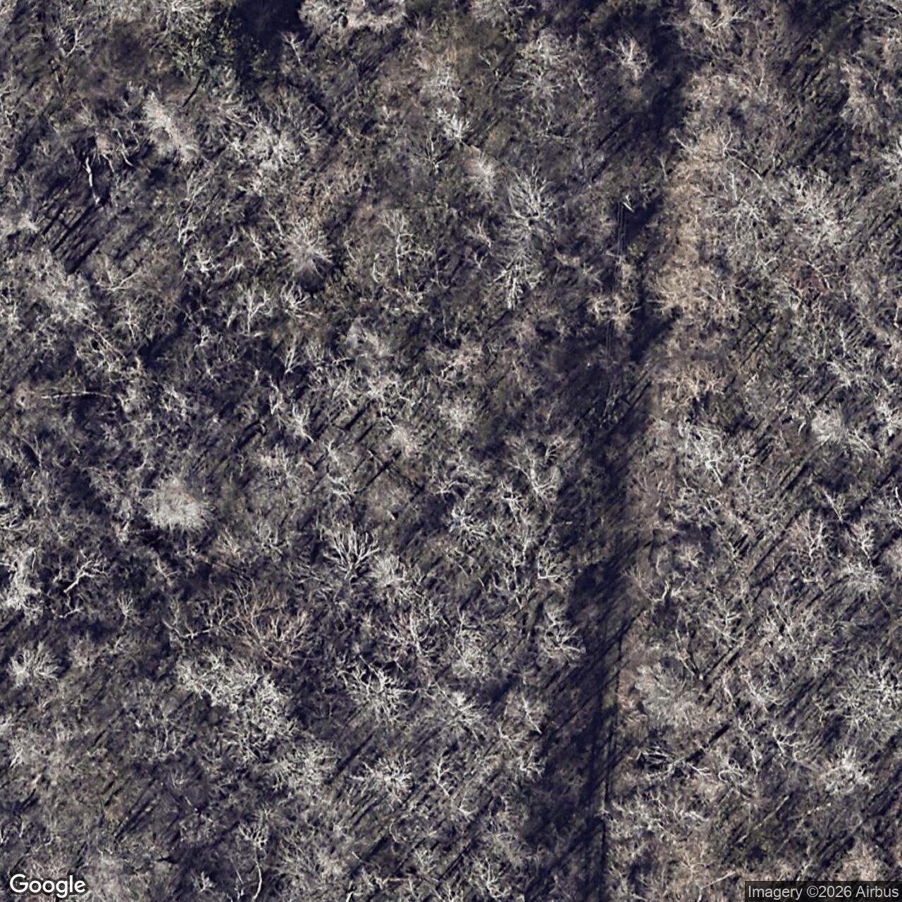 Satellite View for 8739001 Lewis St, New Orleans, LA