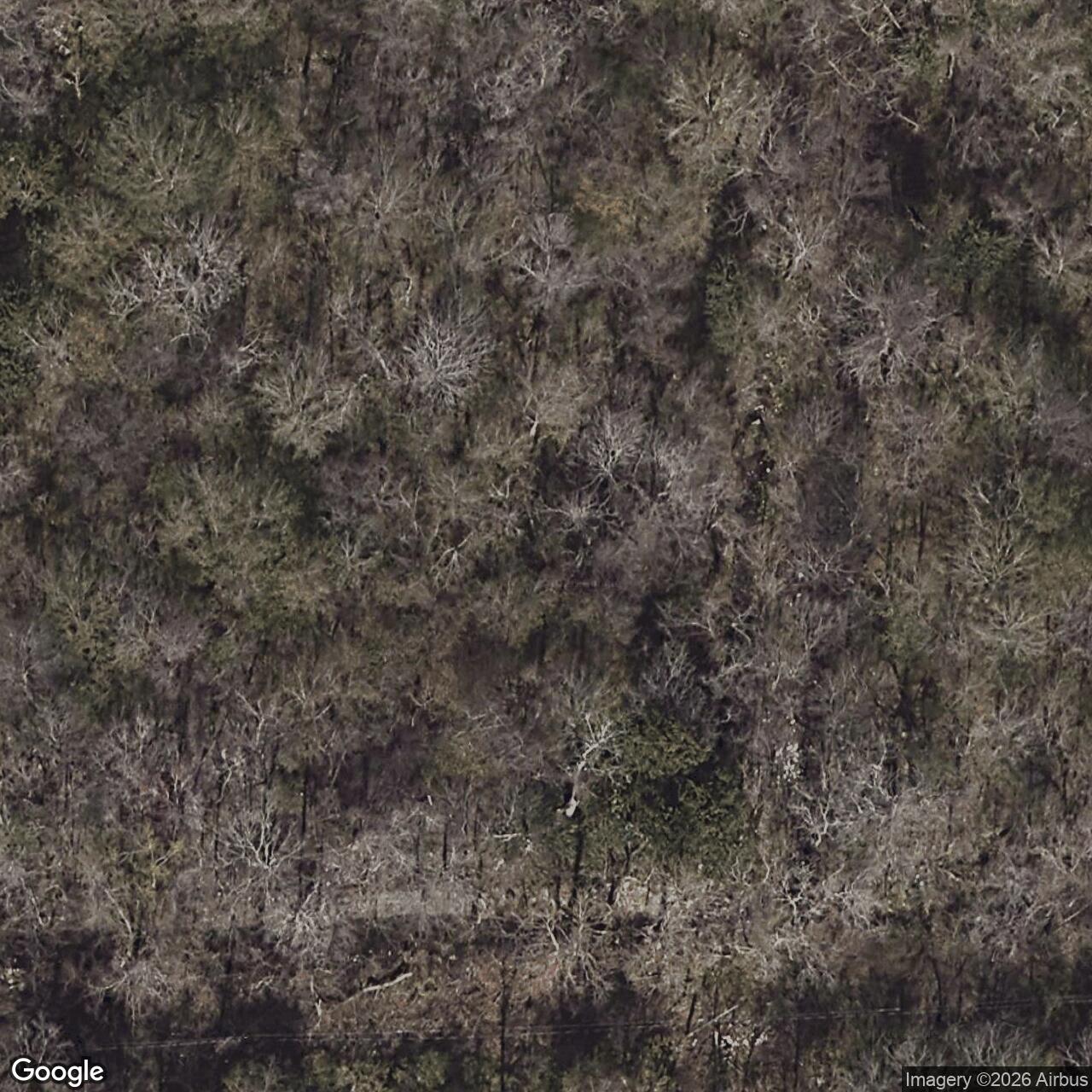 Satellite View for 907701 Nolan St, New Orleans, LA